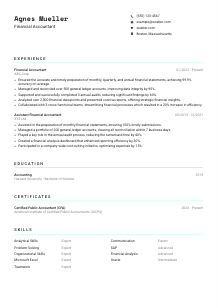 Financial Accountant CV Template #18