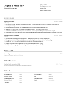 Financial Accountant Resume Template #9