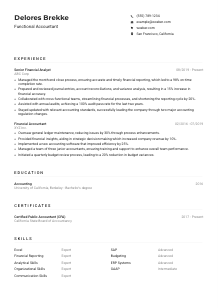 Functional Accountant Resume Example