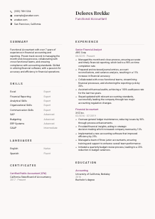 Functional Accountant CV Template #20