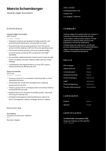 General Ledger Accountant CV Template #17