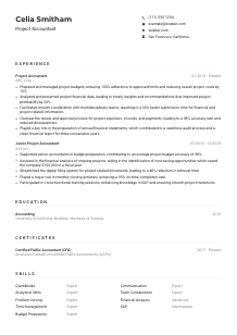 Project Accountant Resume Example