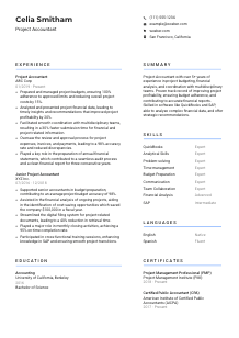 Project Accountant CV Template #10