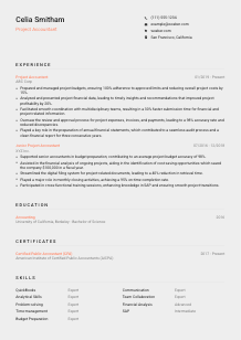 Project Accountant CV Template #23
