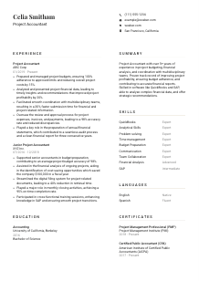 Project Accountant CV Template #7