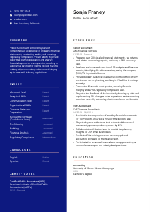 Public Accountant CV Template #21