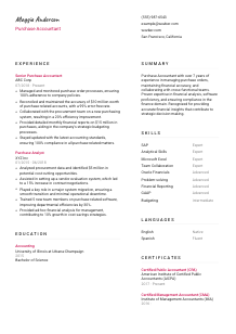 Purchase Accountant CV Template #11