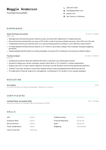 Purchase Accountant CV Template #18