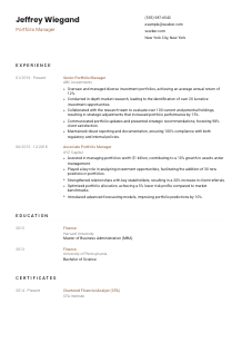 Portfolio Manager CV Template #6