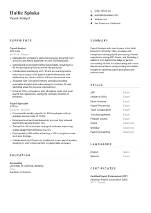 Payroll Analyst Resume Template #7