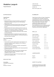 Payroll Director CV Template #2