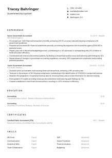 Government Accountant Resume Example
