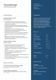 Government Accountant CV Template #15