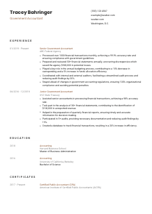 Government Accountant CV Template #6