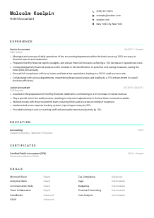 Hotel Accountant Resume Template #3