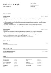 Hotel Accountant Resume Template #2