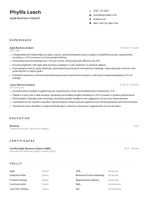 Agile Business Analyst Resume Example