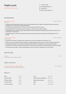 Agile Business Analyst Resume Template #3