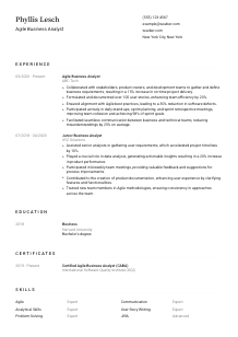 Agile Business Analyst Resume Template #1