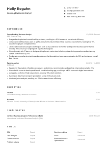 Banking Business Analyst CV Example