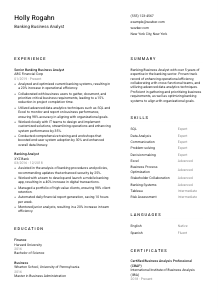 Banking Business Analyst CV Template #2