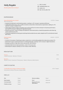 Banking Business Analyst CV Template #23