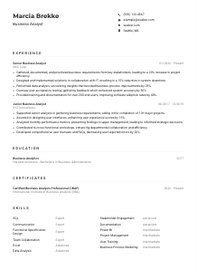 Business Analyst CV Example