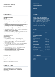 Business Analyst Resume Template #15