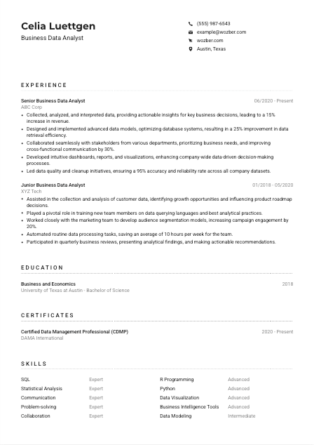 Business Data Analyst CV Example