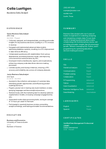Business Data Analyst CV Template #16
