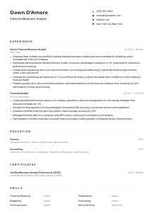 Financial Business Analyst CV Example