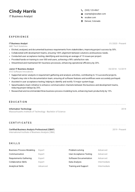 IT Business Analyst Resume Example