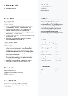 IT Business Analyst CV Template #12