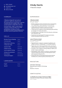 IT Business Analyst CV Template #21