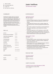 SAP Business Analyst Resume Template #20