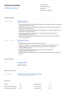 SAP Business Analyst Resume Template #8