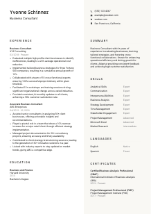 Business Consultant CV Template #13