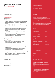 Business Consultant CV Template #22