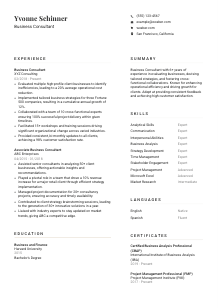 Business Consultant CV Template #7