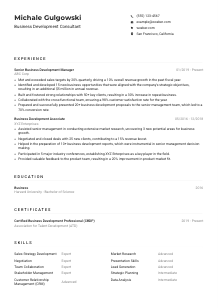 Business Development Consultant CV Example