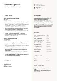 Business Development Consultant CV Template #2