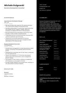 Business Development Consultant CV Template #3