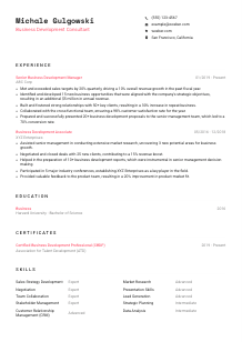 Business Development Consultant CV Template #1