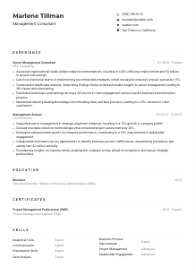 Management Consultant CV Example