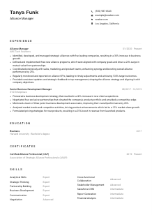 Alliance Manager Resume Example