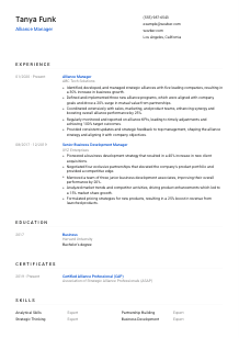 Alliance Manager CV Template #8