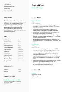Business Developer CV Template #2