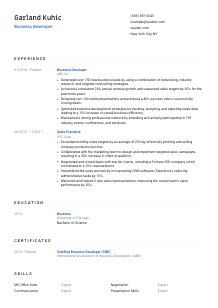 Business Developer CV Template #1