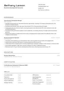 Business Development Executive CV Template #9