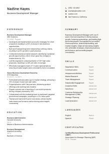 Business Development Manager Resume Template #2